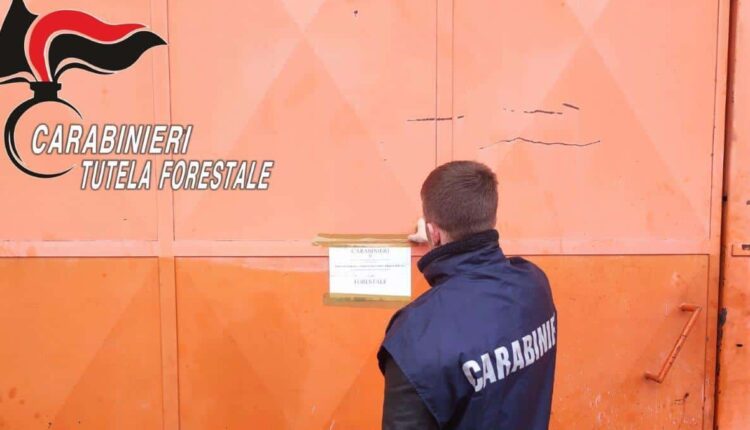 Combustione illecita di rifiuti, deposito di rifiuti speciali pericolosi e non, attivazione di uno scarico di acque industriali e produzione di emissioni senza autorizzazione. Sequestrato uno stabilimento dalla Forestale di Marcianise