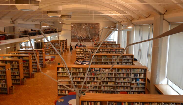 Pistoia: in Biblioteca San Giorgio sabato l'inaugurazione della mostra "Insettitudine".