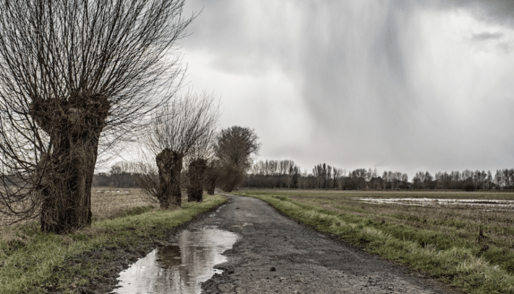 Sicilia, siccità la giunta Schifani dichiara lo stato di calamità naturale