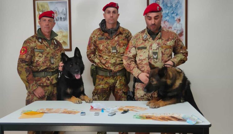 Orosei. Trovato in possesso di 65 grammi di cocaina e oltre a 4.500 euro contanti. Arrestato 65enne per spaccio