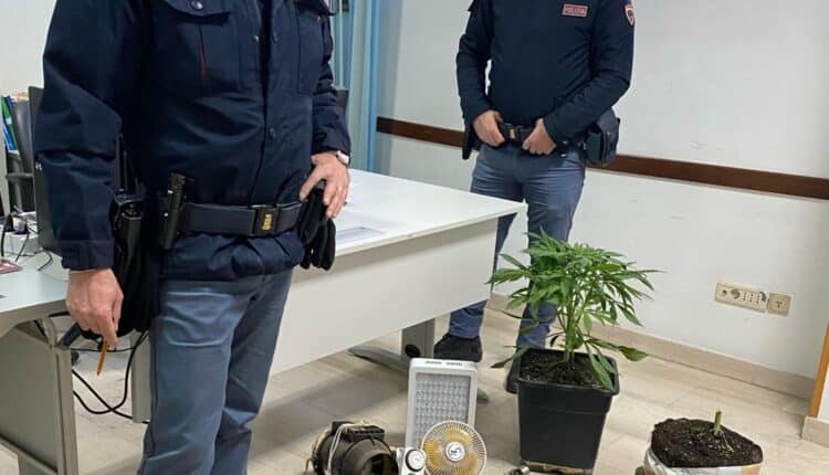 Martina Franca, sorpreso nel garage di casa con una serra per la coltivazione della marijuana. 38enne arrestato dalla Polizia di Stato