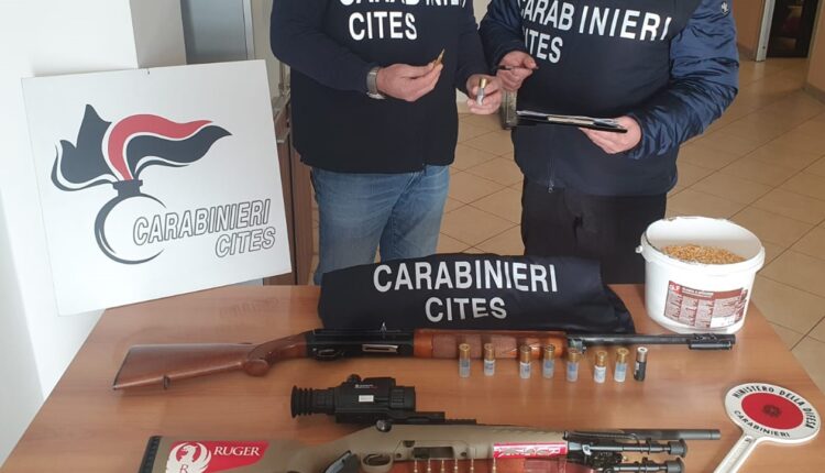 Bracconaggio all'interno della riserva integrale "Lago Preola e Gorghi Tondi". Due soggetti identificati e denunciati dai Carabinieri forestali