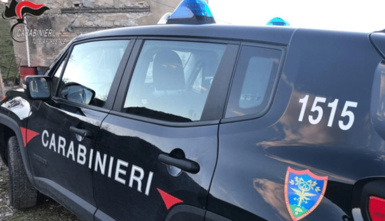 Collesalvetti, Livorno: individuata una ditta ritenuta responsabile di gestione illegale di rifiuti.