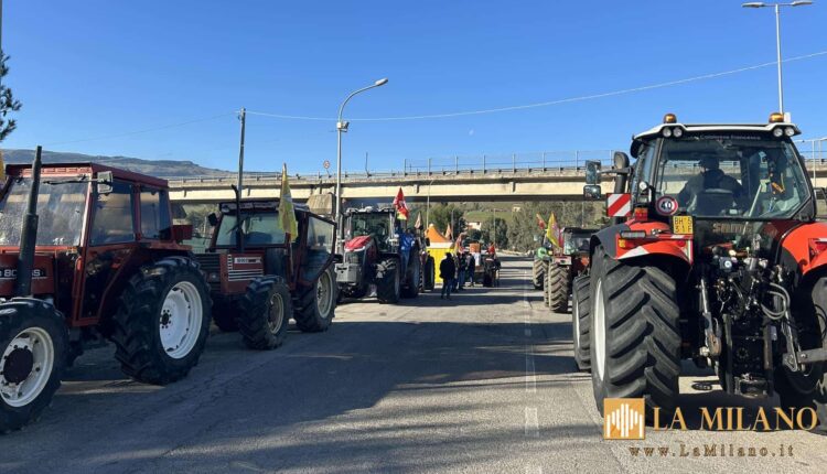 Crisi agricoltura, martedì Schifani insedia Unità di crisi a Palazzo d'Orleans con l'obiettivo di fronteggiare le gravi difficoltà del settore in Sicilia