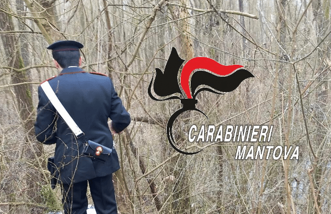 Mantova: arrestati dai Carabinieri 3 uomini di nazionalità rumena, tra i 34 e i 48 anni, per furto aggravato e ricettazione di un furgone.
