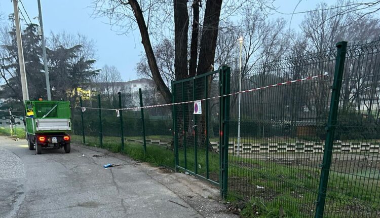 Sicurezza urbana a Verona: potenziati i controlli in centro. Un arresto, denunce e oltre 90 Daspo in una settimana