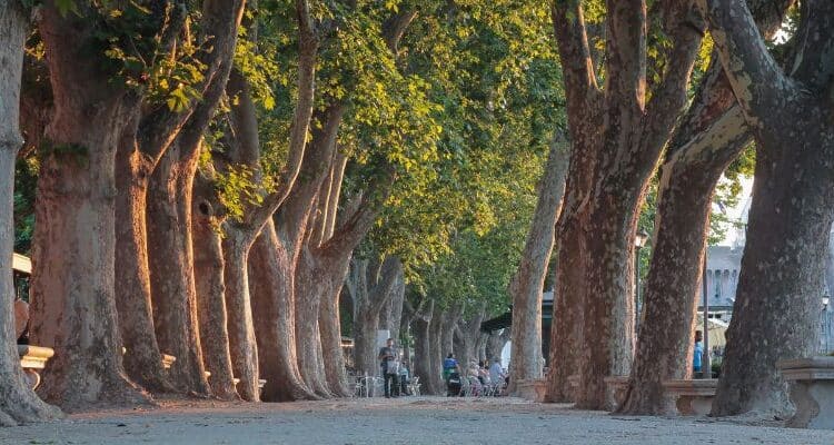 Verona, al via il progetto èVRgreen per migliorare l'ecosistema della città