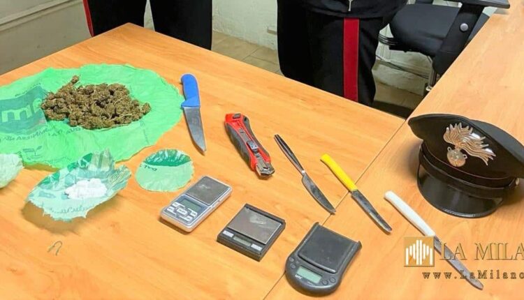 Lotta al traffico di droga tra Imola e zone limitrofe: un arresto, una denuncia e decine di persone identificate dai Carabinieri.