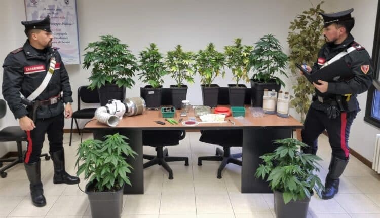 San Lazzaro di Savena (BO): sequestrata droga, denaro e materiale per il confezionamento
