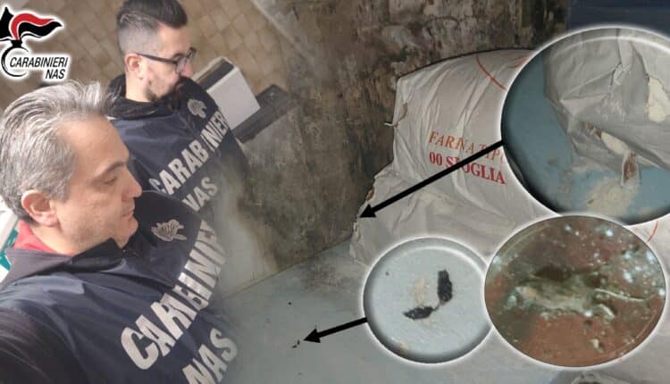 Bologna: NAS, controlli nei ristoranti tradizionali, cibi scaduti e cucine infestate da roditori.