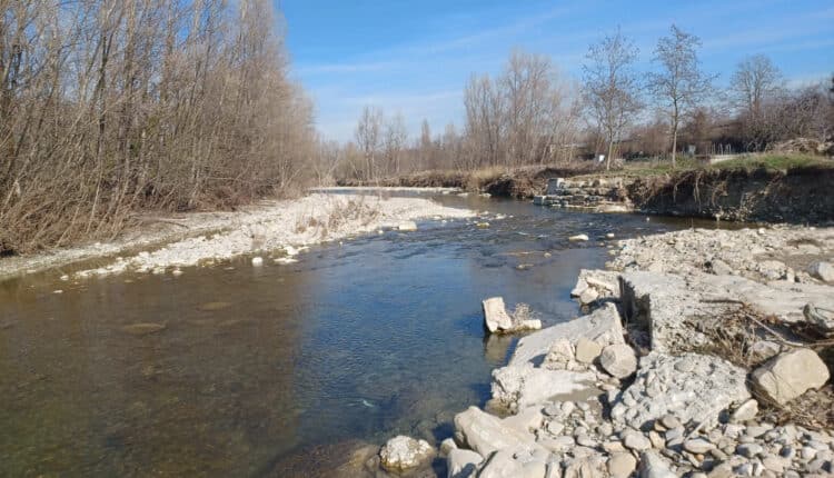 Bologna: manutenzione dei corsi d'acqua nel forlivese, al via nuovi cantieri per lo sfalcio della vegetazione.