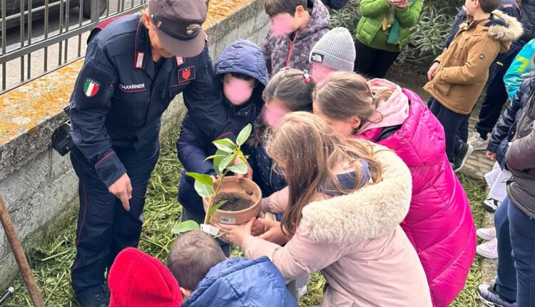 Ferla e Buscemi (SR): progetto nazionale di educazione ambientale “Un albero per il futuro”.