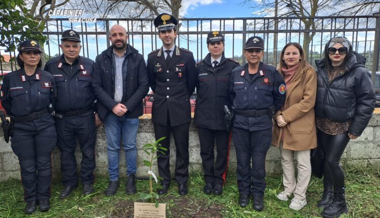 Ferla e Buscemi (SR): progetto nazionale di educazione ambientale “Un albero per il futuro”.