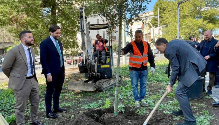 Catania: Ambiente, 2500 nuovi alberi per lasciare ultimi posti nelle classifiche.