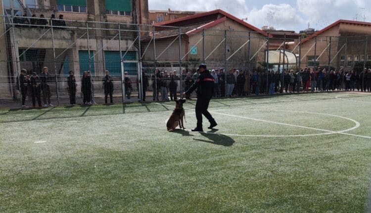 Modica, continuano gli incontri del 'Progetto legalità' nelle scuole con l'Arma