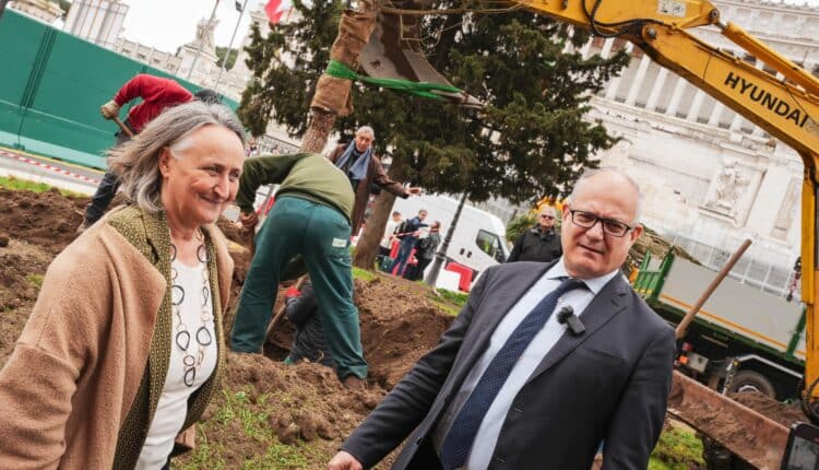 Roma: riforestazione, tornano i pini a piazza Venezia