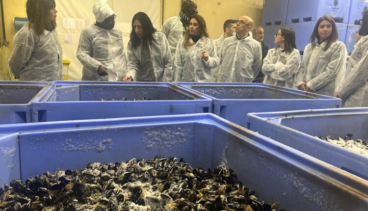 Sardegna e Senegal alleati in un progetto per lo sviluppo della mitilicoltura: “Pétites Noires”