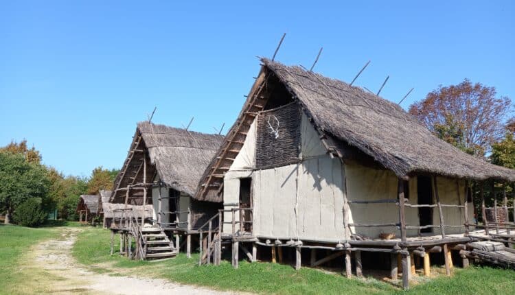 Modena, il parco archeologico della Terramara compie 20 anni: per l'occasione installazioni ed esperienze di archeologia sperimentale