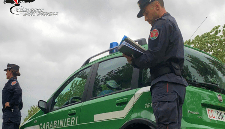 Livorno: i Carabinieri forestali rilevano violazioni alle norme di tutela ambientale e paesaggistica.
