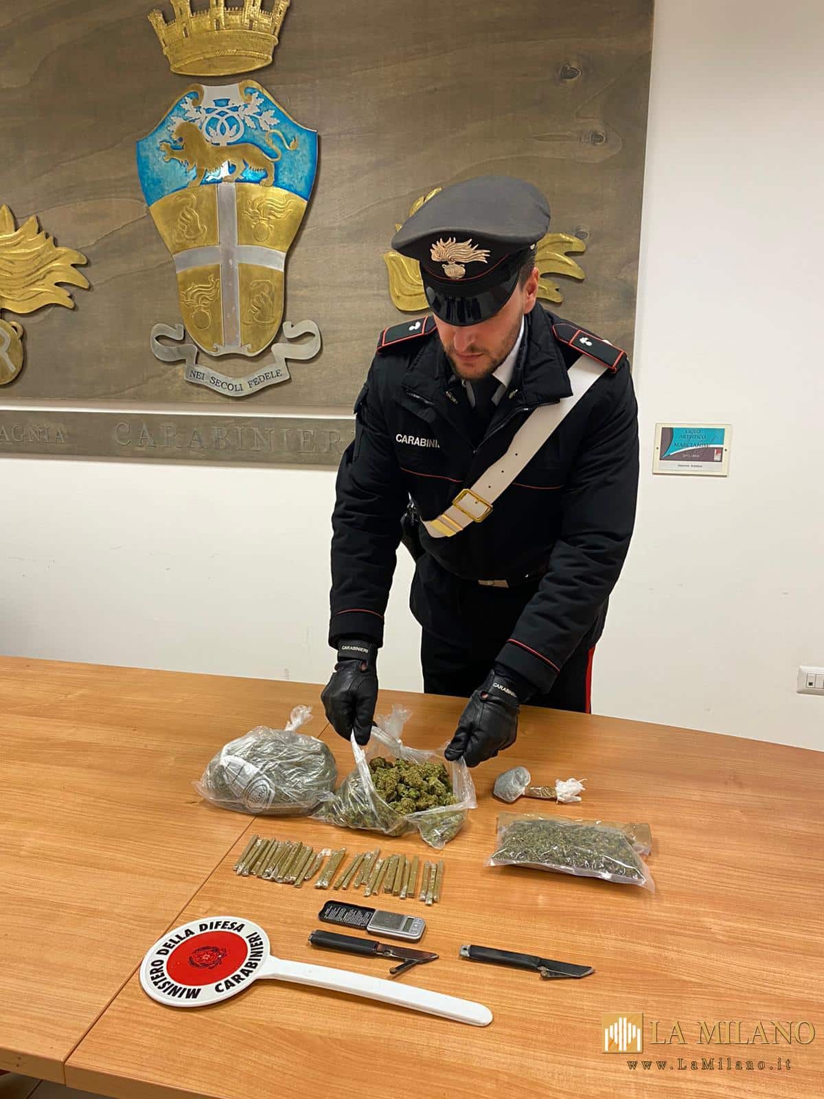 Orta di Atella: pusher trovato in possesso di stupefacenti e di due coltelli di fattura artigianale, arrestato dai Carabinieri.