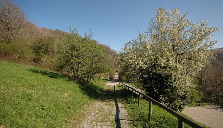 Regione Lombardia: Parchi lombardi, per tutti e-book dedicato ad aree verdi senza barriere.