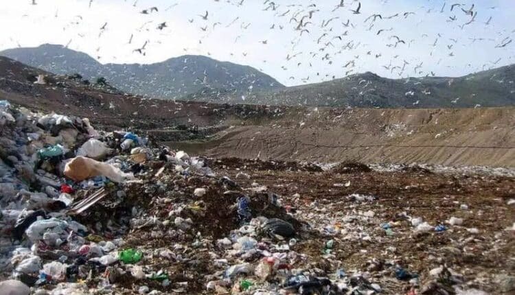 Roma: traffico di rifiuti metallici tra il viterbese e la Campania, indagati e 8 società coinvolte e sottoposte ad accertamento.