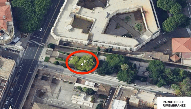 Cagliari: interventi urgenti di messa in sicurezza di 7 grandi alberature in città colpite da infezioni fungine