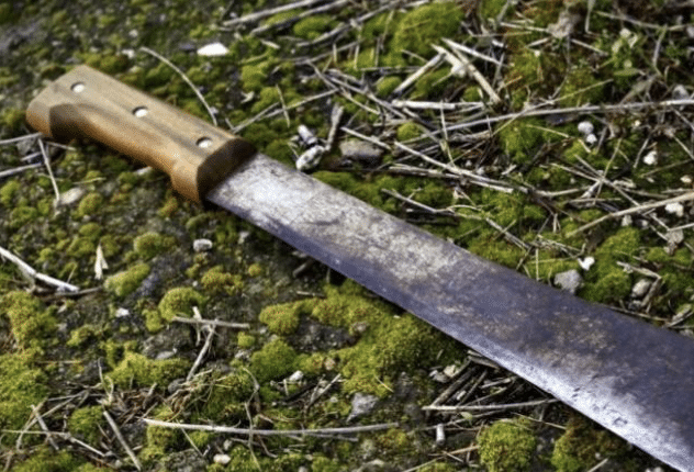 Torino, agguato con il machete fermato un 23enne