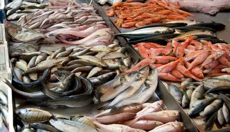 Torre del Greco: controlli in materia di pesca al mercato civico.