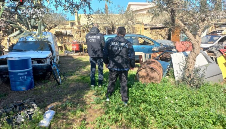 Trapani e Marsala: abbandonano rifiuti speciali nei terreni, denunciate 2 persone.