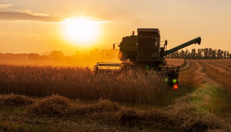 Lombardia, agricoltura: al via la misura 'SRD01' della PAC, dedicata agli investimenti produttivi