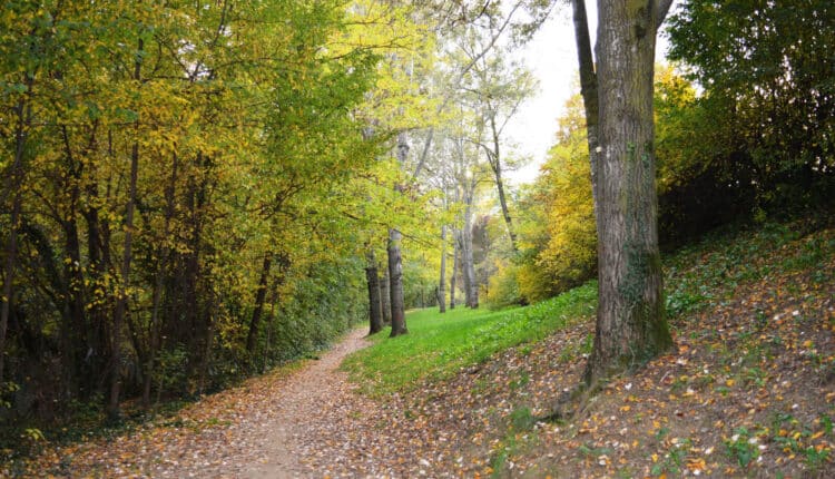 Bologna, biodiversità. 10,5 milioni di euro per rafforzare la Rete ecologica regionale. Al via il bando "Recore".