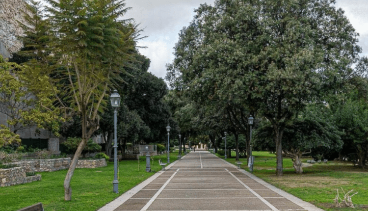 Cagliari: interventi urgenti di messa in sicurezza di 7 grandi alberature in città colpite da infezioni fungine