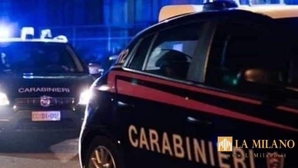 Lucca. I Carabinieri arrestano un 54enne che aveva sparato contro il contatore Enel al termine di una lite.