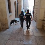 Verona, sequestrati due etti di hashish dalla Polizia locale: identificate quasi trecento persone
