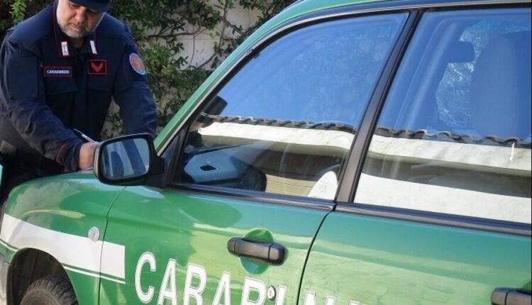 Campo nell’Elba, Livorno: lavori eseguiti in violazione del vincolo paesaggistico. Denunciata una persona.