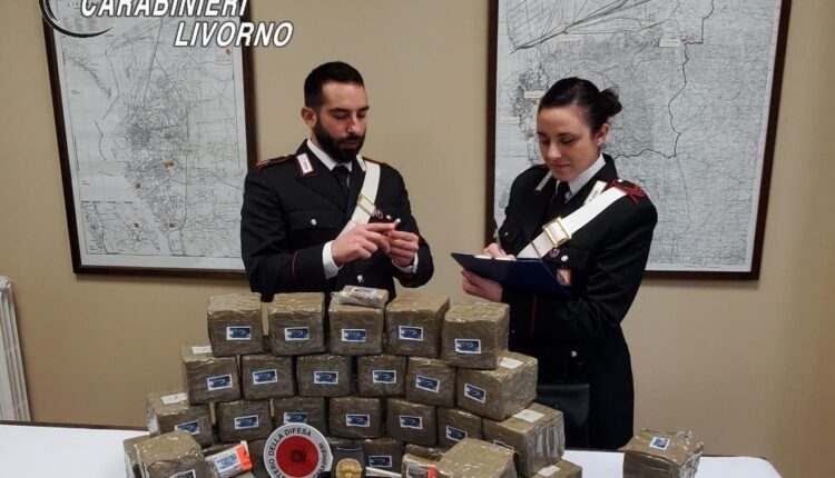 Livorno: sorpreso dai Carabinieri con 31 kg di hashish al casello A12 di Rosignano diretto a Livorno. Arrestato un pluripregiudicato per detenzione ai fini di spaccio.