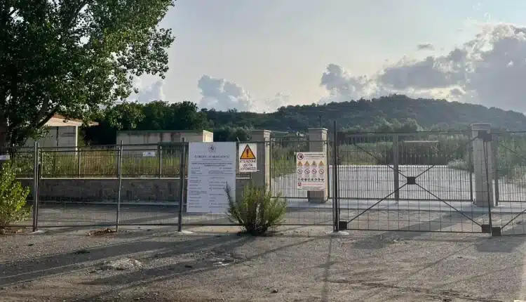 Benevento, mille piante a Parco De Mita grazie al progetto Think Forestry