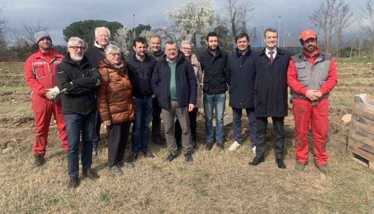 Verona. Piano di riforestazione urbana 2024. Messa a dimora altri 1000 alberi con il progetto "un albero per ogni neonato".