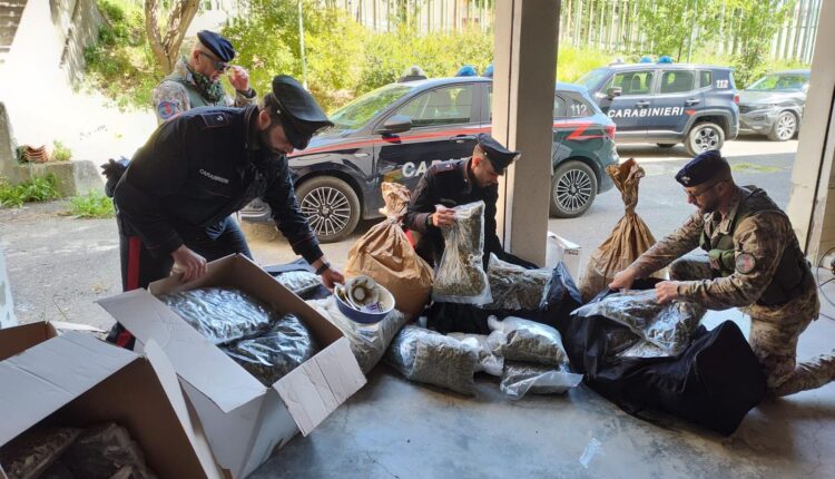 Siniscola (NU): sequestrate enormi quantità di droga, 2 arrestati
