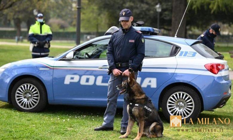 Vicenza: arrestato autore di furto e violenza/resistenza a pubblico ufficiale, perquisita un'abitazione