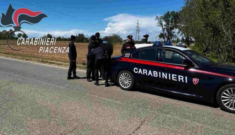 Borgonovo, spaccio nei campi: arresti un 45enne e un 25enne da parte dei carabinieri