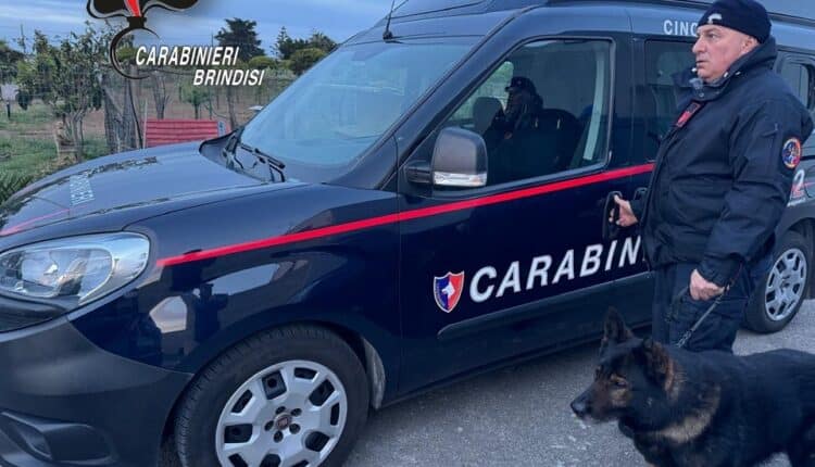 Brindisi: arrestate 5 persone per spaccio al termine dell'indagine FULL SERVICE