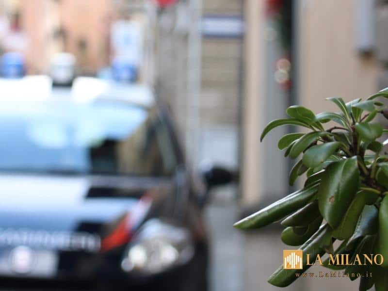 Castelnuovo di Garfagnana (LU): donna denunciata con l’accusa di abbandono di minori