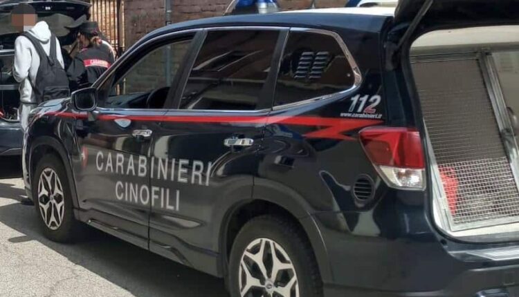 Ferrara. Controlli antidroga presso gli istituti scolastici superiori: sequestrate due dosi di sostanza stupefacente abbandonate.