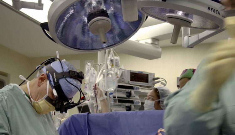 Emilia-Romagna: sanità, Giornata nazionale per la donazione di organi e tessuti.