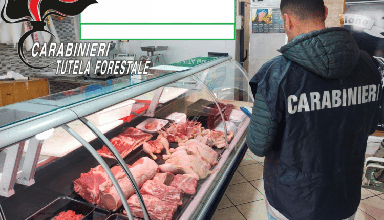 Casaluce, accertate diverse infrazioni nella gestione di una macelleria: elevate sanzioni da oltre 10 mila euro