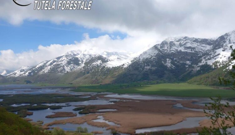 Castello del Matese (CE). Sequestrati uno scarico di acque reflue abusivo e un enorme cumulo di letame stoccato sul suolo nudo esposto alla degradazione atmosferica.