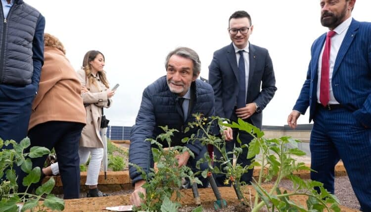 Milano. Nuova vita per le torri di Via Russoli, riqualificate anche con scarti di riso.