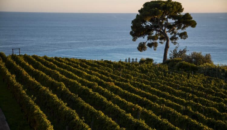 Genova. Via ai Bandi a Valenza Ambientale per un valore di 5,85 milioni di euro.